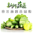 ไอคอนของโปรแกรม: 台灣市場-當日農產品查詢