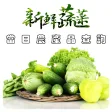 台灣市場-當日農產品查詢