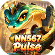 Programın simgesi: NN567Pulse