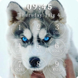 程序图标：Cute Husky Puppies Lock S…