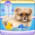 Programikonen: Pomeranian Puppy Day Care