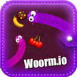 Icono de programa: Woorm.io