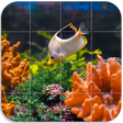 Programikonen: Sea world Puzzle