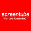 프로그램 아이콘: screentube