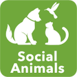 プログラムのアイコン：Social Animals