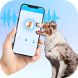 Ikon program: Talk To Dogs - Dog Transl…