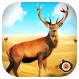 Deer hunting 2017