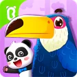 Baby Pandas Bird Kingdom