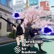 プログラムのアイコン：Karakage The Sky Shadow