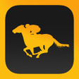Programın simgesi: Stable Champions - Horse …