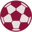 World Football Champ Predictor icon