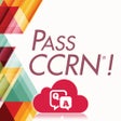 프로그램 아이콘: PASS CCRN