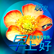 程序图标：Good Morning in Chinese