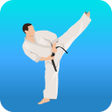 Icône du programme : Karate Workout At Home