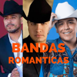 程序图标：musica de bandas romantic…