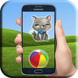Catch all cats icon