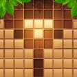 Programikonen: Wood Block Puzzle Sudoku