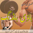 程序图标：Body Building Complete Tr…