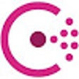 Consul to clipboard icon