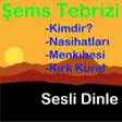 Şems Tebrizi Kırk Kural Nasiha