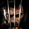 Icon of program: Wolverine Wallpapers HD