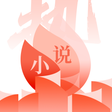 程序图标：火热小说