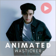 Icoon van programma: Hyunjin SKZ Animated WASt…