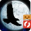 Moon Bird VR