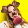 Icon of program: Face Effects Filters  Emo…