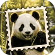 프로그램 아이콘: Jigsolitaire: Stamp Journ…