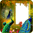 Icon of program: Peacock Insta DP Maker