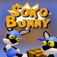 Programın simgesi: SokoBunny
