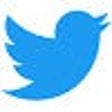 Programikonen: Bring Twitter Back
