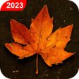 Autumn Live Wallpaper 2018: Raindrops Background