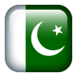 程序图标：PAKISTAN E SERVICES