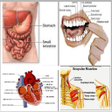 プログラムのアイコン：Biology Notes With Pictur…