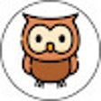 Owl devtools