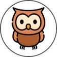 프로그램 아이콘: Owl devtools