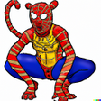Spider  Stickers for WA icon