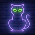 Programikonen: Find a Cat: Hidden Object