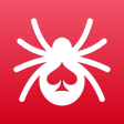 Icon of program: Spider The Game
