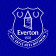 程序图标：Everton