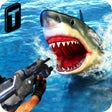 Programikonen: Shark Sniping 2017