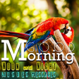 Programikonen: Good Morning Noon Night C…