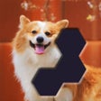 プログラムのアイコン：Hex Block Jigsaw