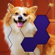 程序图标：Hex Block Jigsaw