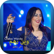 Programikonen: Chaba Warda 2022 - شابة و…
