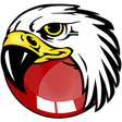 Programikonen: BlackHawk Web Browser