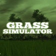 Programikonen: Grass Simulator