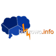 Ikona programu: Burzowo.info - Lightning …